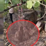 Two unidentified bodies found hanging from a tree in Dongri... Police busy investigatingडोंगरी के पेड़ में लटका मिला दो सड़ा गला अज्ञात शव.. जाँच में जुटी पुलिस