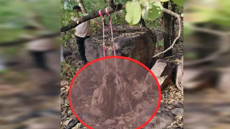 Two unidentified bodies found hanging from a tree in Dongri... Police busy investigatingडोंगरी के पेड़ में लटका मिला दो सड़ा गला अज्ञात शव.. जाँच में जुटी पुलिस