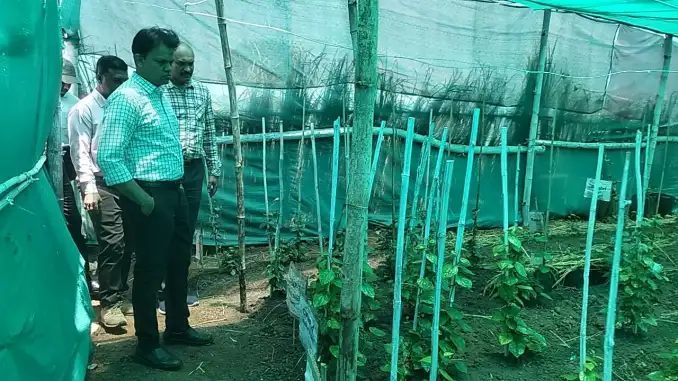 कृषि महाविद्यालय का कलेक्टर ने किया निरीक्षण, गतिविधियों और शिक्षा की गुणवत्ता का जायजा