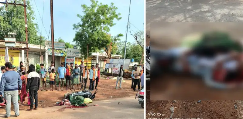 तेज रफ्तार हाइवा ने बाइक को मारी टक्कर दादा और पोते की मौके