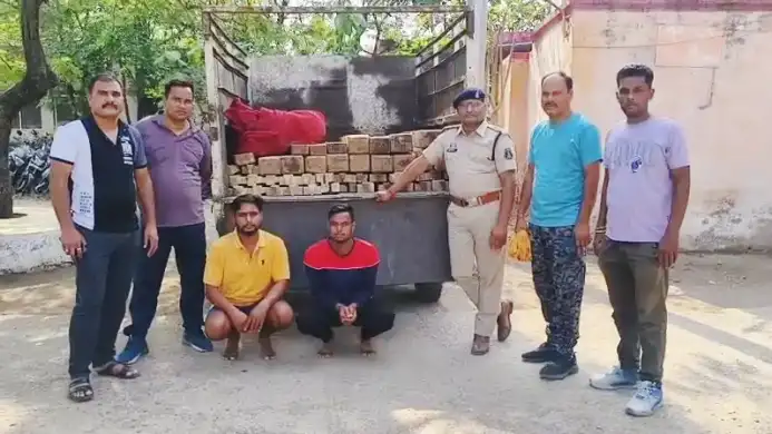 इमारती लकड़ी चिरान की तस्करी करते दो आरोपी गिरफ्तार, एक लाख की लकड़ी सहित पिकअप जब्त