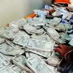 डिप्टी रेंजर के ठिकानों पर मिली करोड़ों की संपत्ति, मिले भारी मात्रा में सोना चांदी और कैश