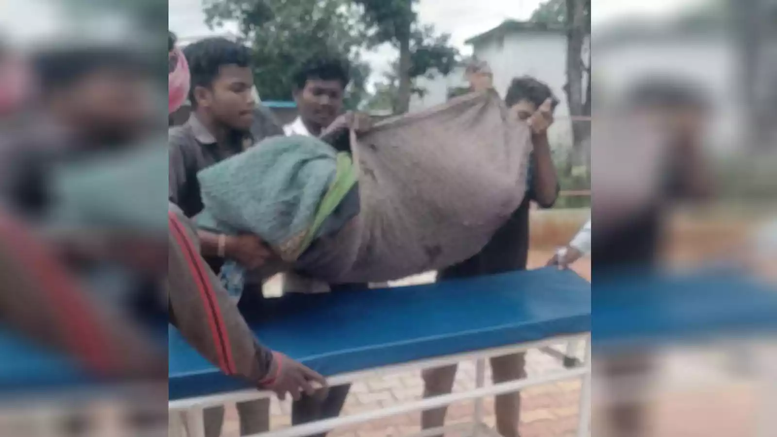 भालू के हमले से ग्रामीण गंभीर रूप से घायल