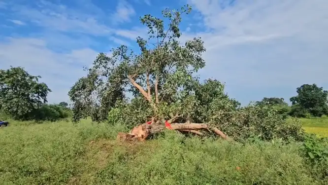 आस्था को झकझोर देने वाली घटना पर कार्यवाई, दो आरोपी गिरफ्त में 