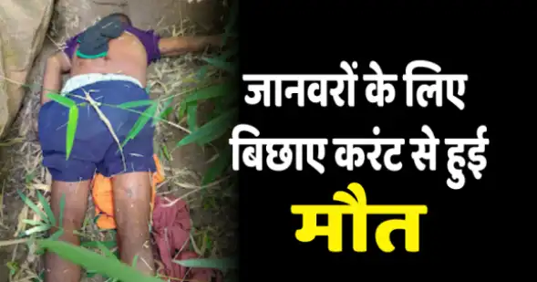 जानवरों के लिए बिछाए करंट से हुई मौत