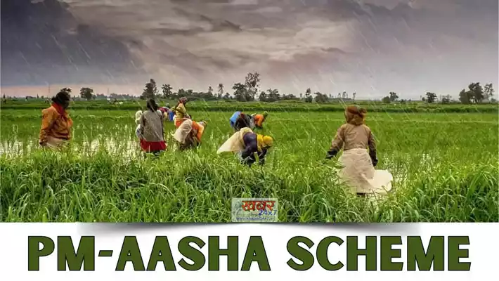 प्रधानमंत्री-अन्नदाता आय संरक्षण अभियान