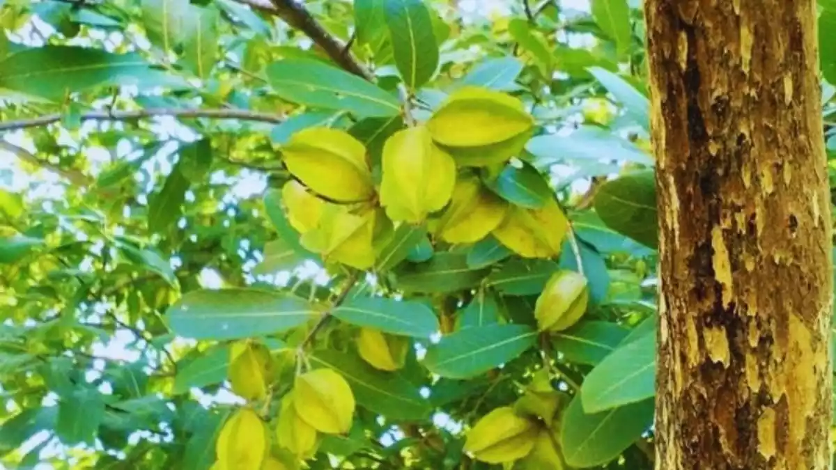 66b8461da406d-arjun-110324703-16