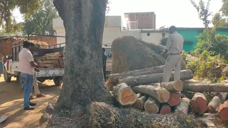 घर में छिपाकर रखा था 56 नग सागौन चिरान, अवैध आरा मशीन भी जब्त..