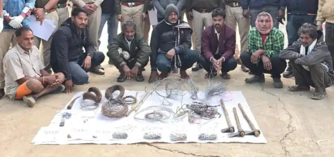 अवैध शिकार का बड़ा खुलासा, 7 आरोपी गिरफ्तार, जादू-टोने के लिए तेंदुआ की हत्या 