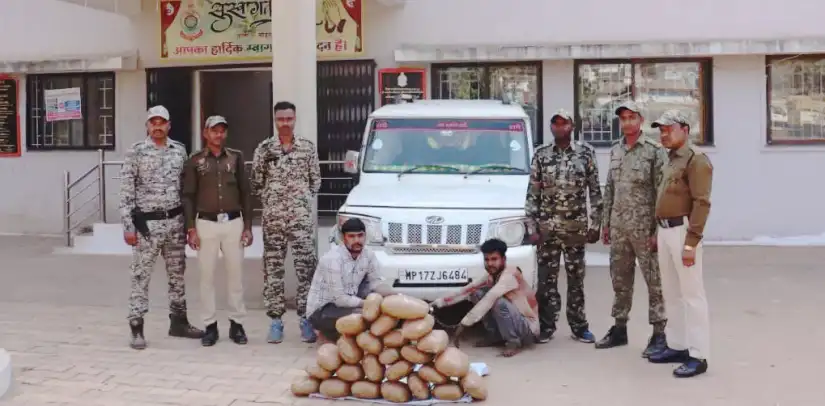 CG NEWS : बोलेरो के अन्दर सीक्रेट चैंबर..तस्करी हो रही थी 25 लाख का गांजा..आये पुलिस की सपड़ में.. CG NEWS: Secret chamber inside Bolero...Ganja worth Rs 25 lakh was being smuggled...caught in the police trap...