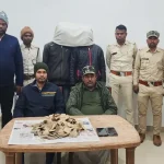 Two smugglers arrested for smuggling pangolin scales in a passenger busयात्री बस से पैंगोलिन शल्क की तस्करी करते हुए दो तस्कर गिरफ्तार