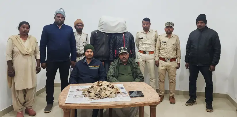 Two smugglers arrested for smuggling pangolin scales in a passenger busयात्री बस से पैंगोलिन शल्क की तस्करी करते हुए दो तस्कर गिरफ्तार