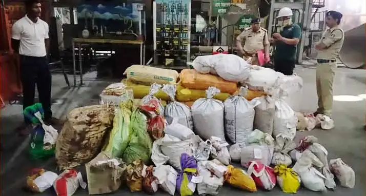 पुलिस ने नष्ट किए 6 क्विंटल से अधिक मादक पदार्थ, 58 मामलों में जब्त गांजा, ब्राउन शुगर व नशीली दवाईयां