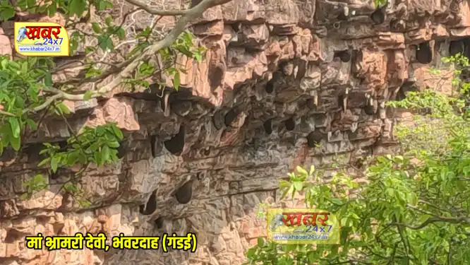 bhramri devi bhavardah भंवरदाह: भ्रामरी देवी में 31 मार्च से होगा ज्योति कलश स्थापना