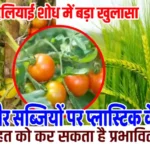 ऑस्ट्रेलियाई शोध में बड़ा खुलासा, अनाज और सब्जियों पर प्लास्टिक के अंश, सेहत को कर सकता है प्रभावित