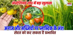 ऑस्ट्रेलियाई शोध में बड़ा खुलासा, अनाज और सब्जियों पर प्लास्टिक के अंश, सेहत को कर सकता है प्रभावित