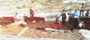 सिस्टम फेल: नहीं मिली मदद तो ग्रामीण खुद रोक रहे नदी का कटाव जुटाया आपसी में चंदा