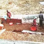 System failure: Villagers stop river erosion themselves, collect donations among themselves