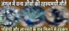 जंगल में रहस्यमयी मौतें: पक्षियों और जानवरों के शव मिलने से हड़कंप