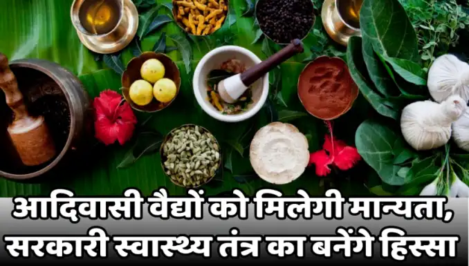 Tribal Vaidyas will get recognition and will become part of the government health system. आदिवासी वैद्यों को मिलेगी मान्यता,सरकारी स्वास्थ्य तंत्र का बनेंगे हिस्सा