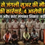 करंट से जंगली सूअर की मौत: वन विभाग की कार्रवाई, 4 आरोपी गिरफ्तार