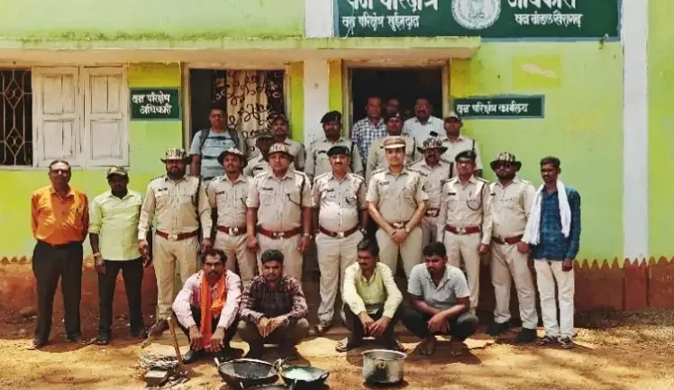 Wild boar dies due to electrocution: Forest department takes action, 4 accused अरेस्टेड करंट से जंगली सूअर की मौत: वन विभाग की कार्रवाई, 4 आरोपी गिरफ्तार