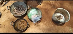 Wild boar dies due to electrocution: Forest department takes action, 4 accused arrested करंट से जंगली सूअर की मौत: वन विभाग की कार्रवाई, 4 आरोपी गिरफ्तार