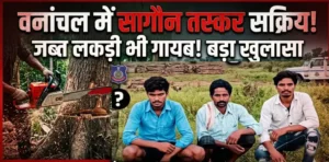 वनांचल में सागौन तस्करों की सक्रियता, जब्त लकड़ी भी गायब होने की चर्चा, Teak smugglers are active in the forest area, and there is talk of the seized wood going missing.