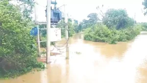 बारिश: इस गांव के लिए बनकर आया आफत, महानदी का जलस्तर बढऩे से गांव बना टापू