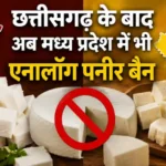 क्या होता है एनालॉग पनीर? एनालॉग पनीर दिखने में बिल्कुल असली और सामान्य पनीर की तरह ही लगता है, लेकिन इसे पूरी तरह से शुद्ध दूध से तैयार नहीं किया जाता। इसे बनाने में दूध के प्राकृतिक वसा (फैट) की जगह वनस्पति तेल, पाम ऑयल, मिल्क प्रोटीन और अन्य रसायनों का मिश्रण किया जाता है। इसकी उत्पादन लागत असली पनीर की तुलना में काफी कम होती है। इसी वजह से कई जगहों पर मुनाफा कमाने के लिए होटल, पिज्जा आउटलेट, रेस्टोरेंट और स्ट्रीट फूड में इसका बहुतायत से इस्तेमाल किया जाता रहा है।MP News: छत्तीसगढ़ के बाद अब मध्य प्रदेश में भी एनालॉग पनीर बैन