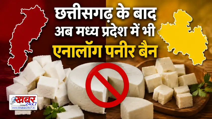 क्या होता है एनालॉग पनीर? एनालॉग पनीर दिखने में बिल्कुल असली और सामान्य पनीर की तरह ही लगता है, लेकिन इसे पूरी तरह से शुद्ध दूध से तैयार नहीं किया जाता। इसे बनाने में दूध के प्राकृतिक वसा (फैट) की जगह वनस्पति तेल, पाम ऑयल, मिल्क प्रोटीन और अन्य रसायनों का मिश्रण किया जाता है। इसकी उत्पादन लागत असली पनीर की तुलना में काफी कम होती है। इसी वजह से कई जगहों पर मुनाफा कमाने के लिए होटल, पिज्जा आउटलेट, रेस्टोरेंट और स्ट्रीट फूड में इसका बहुतायत से इस्तेमाल किया जाता रहा है।MP News: छत्तीसगढ़ के बाद अब मध्य प्रदेश में भी एनालॉग पनीर बैन