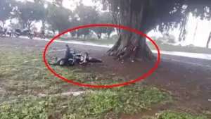 बेमेतरा में आकाशीय बिजली का कहर, टावर का काम कर रहे दो लोगों की मौतबेमेतरा ब्रेकिंग सुरहोली में आकाशीय बिजली का कहर, टावर का काम कर रहे 2 लोगों की मौत बेरला थाना क्षेत्र के ग्राम सुरहोली में तेज बारिश के दौरान आकाशीय बिजली गिरने से दर्दनाक हादसा हुआ। बारिश से बचने के लिए पेड़ के नीचे खड़े टावर कर्मियों पर गाज गिर गई, जिससे दोनों की मौके पर ही मौत हो गई।ग्राम सुरहोली, थाना बेरला, की घटना