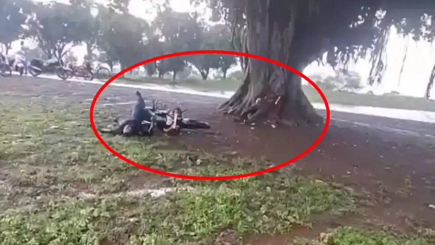 बेमेतरा में आकाशीय बिजली का कहर, टावर का काम कर रहे दो लोगों की मौतबेमेतरा ब्रेकिंग सुरहोली में आकाशीय बिजली का कहर, टावर का काम कर रहे 2 लोगों की मौत बेरला थाना क्षेत्र के ग्राम सुरहोली में तेज बारिश के दौरान आकाशीय बिजली गिरने से दर्दनाक हादसा हुआ। बारिश से बचने के लिए पेड़ के नीचे खड़े टावर कर्मियों पर गाज गिर गई, जिससे दोनों की मौके पर ही मौत हो गई।ग्राम सुरहोली, थाना बेरला, की घटना