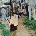 Forest department raid: A cache of precious wood was found at the house of Paalimeta Sarpanchसागौन के लट्ठे और तख्ते बरामदवन विभाग दबिश : पैलीमेटा सरपंच के घर मिला बेस कीमती लकड़ियों का जखीरा
