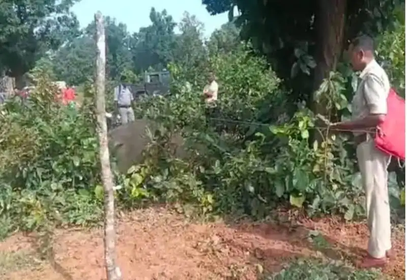 फसल बचाने खेत में बिछाया करंट,चपेट में आया हाथी शावक की मौत !